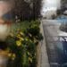 Έτσι θα κάνουμε Πάσχα! Ξεκίνησαν οι εκτιμήσεις των ειδικών