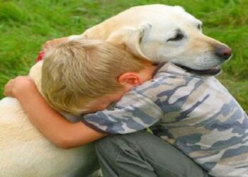 Ένας αγρότης είπε σε ένα αγόρι να μην αγοράσει ένα ακρωτηριασμένο κουτάβι. Δεν περίμενε όμως αυτή την απάντηση του αγοριού.