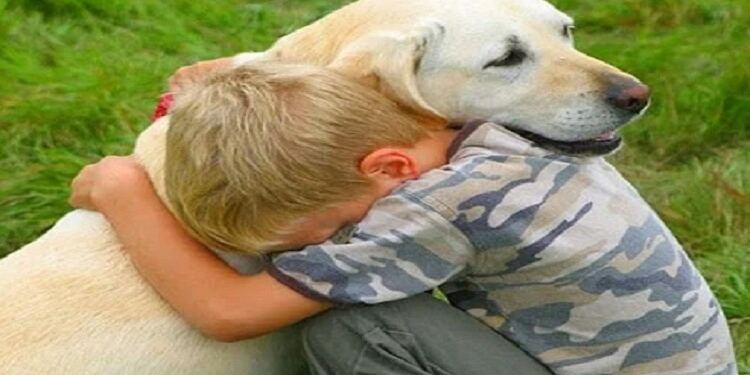 Ένας αγρότης είπε σε ένα αγόρι να μην αγοράσει ένα ακρωτηριασμένο κουτάβι. Δεν περίμενε όμως αυτή την απάντηση του αγοριού.