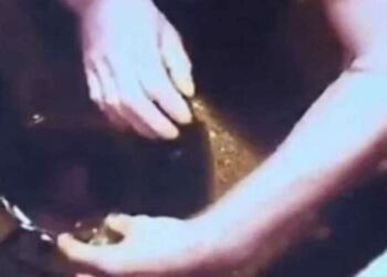 Έβαλε κρυφή κάμερα στην κουζίνα – «Πάγωσε» μόλις είδε τι της έκανε ο άνδρας της (Video)