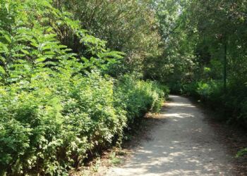 Μητέρα άφησε το μωρό της σε ένα πάρκο με ένα σημείωμα και έφυγε… Όμως 4 χρόνια μετά…