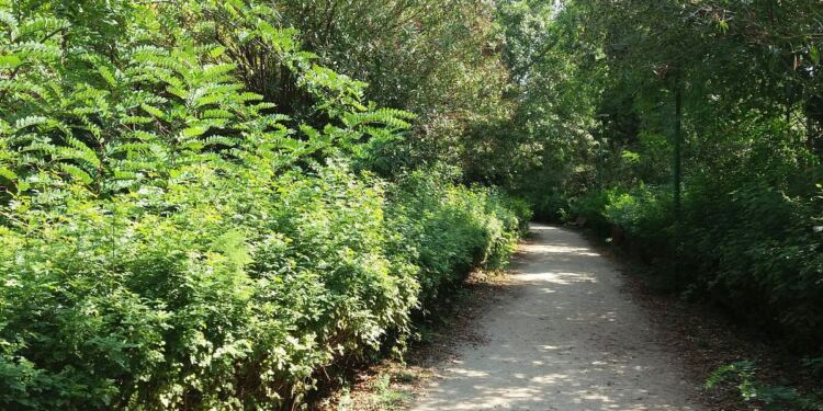 Μητέρα άφησε το μωρό της σε ένα πάρκο με ένα σημείωμα και έφυγε… Όμως 4 χρόνια μετά…