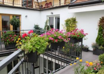 Μην το βάζετε στο σπίτι σας: Το φυτό που έχουμε όλοι και προκαλεί προβλήματα στην καρδιά