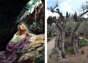 Ιησούς Χριστός: Αυτός είναι ο ιερός τόπος, που προσευχήθηκε για τελευταία φορά, πριν την μαρτυρική σταύρωση