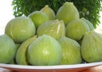 Δείτε Τα απίστευτα οφέλη του σύκου: Η απόλυτη υπερτροφή του καλοκαιριού