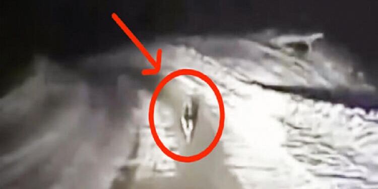 Ένας αστυνομικός είδε έναν γερμανικό ποιμενικό να τρέχει στη μέση του δρόμου. Δείτε όμως που τον οδήγησε…