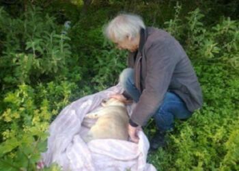 “Γιατί ρε άνθρωπε μου δηλητηρίασες την κοπελούλα μου;”