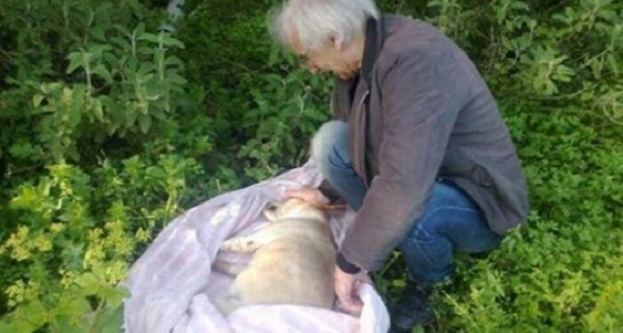 “Γιατί ρε άνθρωπε μου δηλητηρίασες την κοπελούλα μου;”