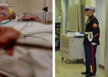 Πεζοναύτης μένει όλη τη νύχτα στο νοσοκομείο δίπλα στον ετοιμοθάνατο «πατέρα» του, και το πρωί αποκαλύπτει στη νοσοκόμα πως δεν ήταν ο γιος του ηλικιωμένου που πέθανε…