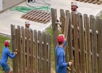 Ο γείτονας του ξεκίνησε να χτίζει φράχτη μέσα στον κήπο του αλλά ο τρόπος που τον εκδικήθηκε έγινε Viral και τρέλανε το διαδίκτυο