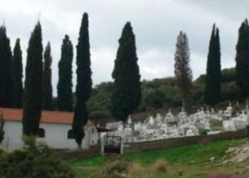 Tο γνώριζες: Για ποιο λόγο φυτεύουν κυπαρίσσια στα νεκροταφεία!