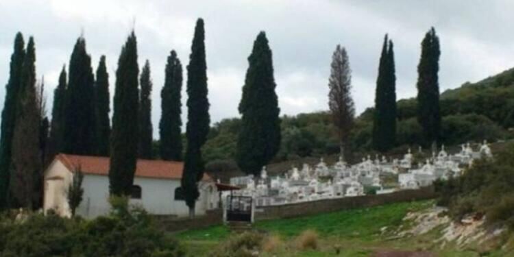 Tο γνώριζες: Για ποιο λόγο φυτεύουν κυπαρίσσια στα νεκροταφεία!