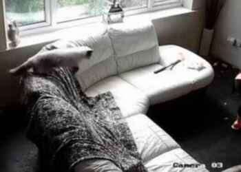 39χρονη έβαλε κρυφή κάμερα στο σπίτι – Έπαθε σοκ όταν είδαν τι έκανε η babysitter