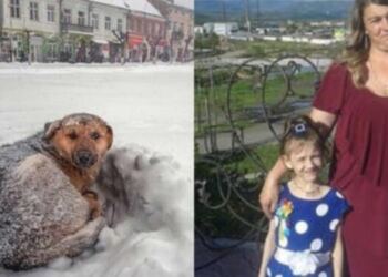 Θα κλάψετε! Η τρυφερή κίνηση σκύλου σε 10χρονο κοριτσάκι που μας “έστειλε”