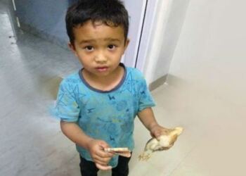 Αυτό το αγοράκι πάτησε καταλάθος ένα κοτόπουλο – Αυτό που ακολούθησε θα σας κάνει να δακρύσετε!