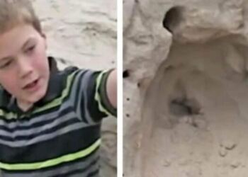 11χρονος έπαιζε στην παραλία και βρήκε κάτι θαμμένο να κουνιέται στην άμμο…Όταν κατάλαβαν τι είναι, “έμειναν”!