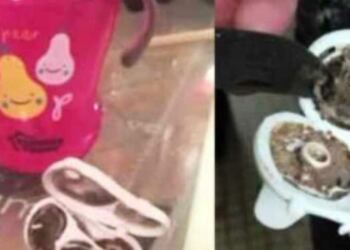 Δεν μπορούσαν να καταλάβουν γιατί το μωρό τους ήταν τόσο άρρωστο – Μέχρι που ανακάλυψαν αυτό…