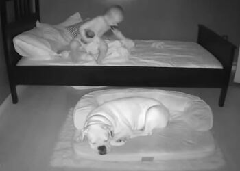 23 μηνών μωρό φεύγει από το κρεβάτι του για να… «Πάγωσε» η μητέρα του με αυτό που είδε στην κάμερα (Video)