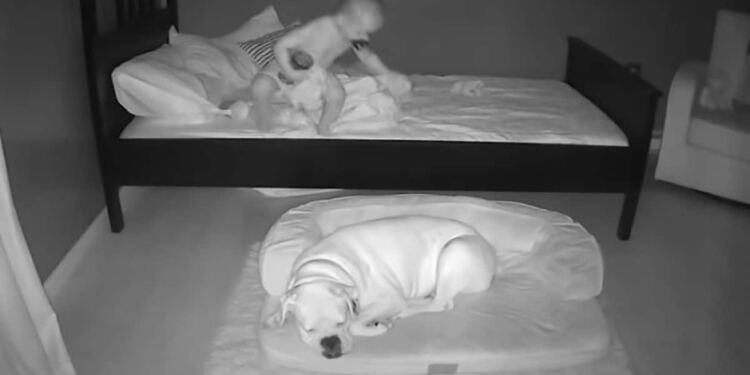 23 μηνών μωρό φεύγει από το κρεβάτι του για να… «Πάγωσε» η μητέρα του με αυτό που είδε στην κάμερα (Video)