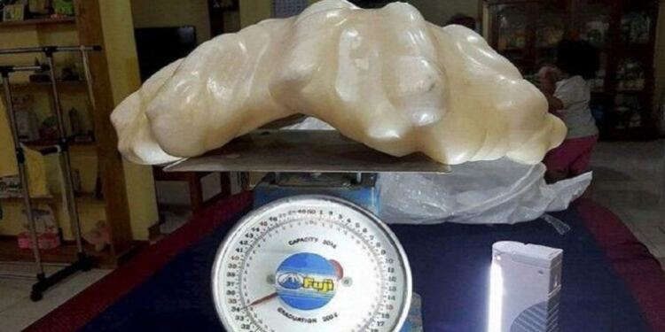 Ψαράς «έκρυβε» στο στρώμα του για γούρι το μεγαλύτερο μαργαριτάρι του κόσμου αξίας 88,5 εκατ. ευρώ χωρίς να το ξέρει!