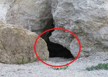 Έβαλαν κάμερα έξω από αυτήν τη σπηλιά. Έπαθαν την πλάκα τους όταν είδαν τι κατέγραψε!