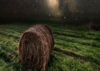 Παραιτήθηκε από τη δουλεία του όταν τράβηξε αυτές τις φωτογραφίες – Μια ματιά και θα καταλάβεις το γιατί…