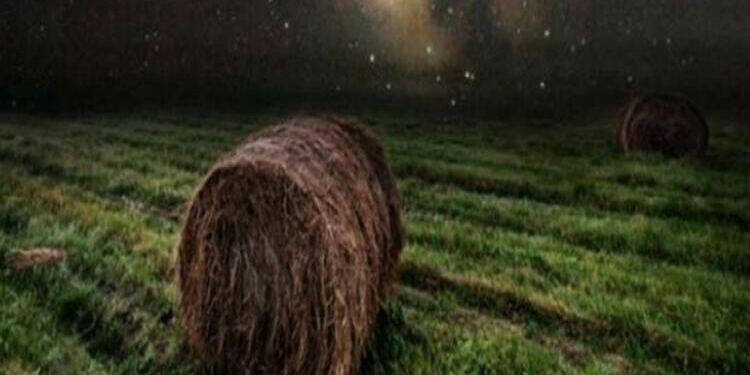 Παραιτήθηκε από τη δουλεία του όταν τράβηξε αυτές τις φωτογραφίες – Μια ματιά και θα καταλάβεις το γιατί…