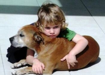 Είπαν σε ένα 6χρονο παιδί ότι ο σκύλος του θα πεθάνει. Η απάντηση του μας συγκλόνισε…
