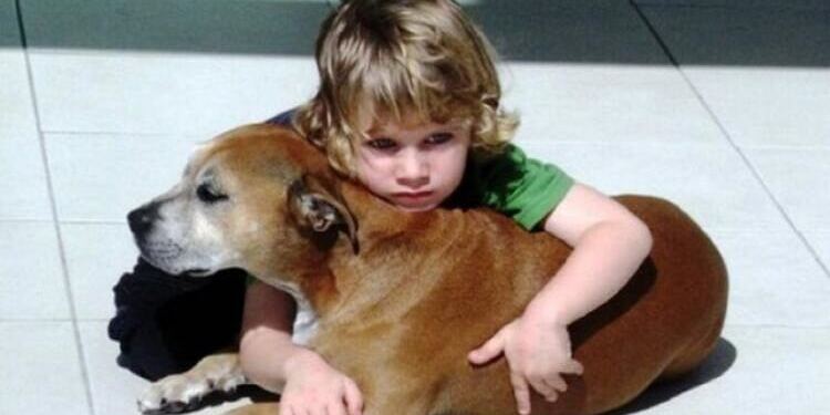 Είπαν σε ένα 6χρονο παιδί ότι ο σκύλος του θα πεθάνει. Η απάντηση του μας συγκλόνισε…