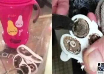 To παιδί τους αρρώσταινε συνέχεια και δεν ήξερα το γιατί..Μέχρι που ανακάλυψαν αυτό..