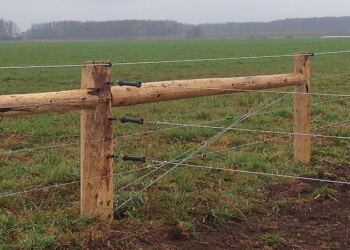 Εγινε Viral και τρέλανε το διαδίκτυο! Ο γείτονας του ξεκίνησε να χτίζει φράχτη μέσα στον κήπο του αλλά ο