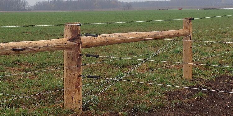 Εγινε Viral και τρέλανε το διαδίκτυο! Ο γείτονας του ξεκίνησε να χτίζει φράχτη μέσα στον κήπο του αλλά ο