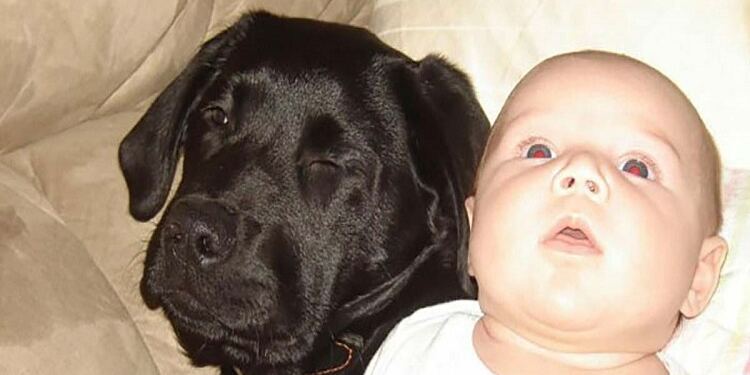 «Παράτα το σκύλο όταν γεννήσεις», της είπε η αδερφή της. Μετάνιωσε 11 χρόνια μετά όταν είδε αυτή τη σκηνή