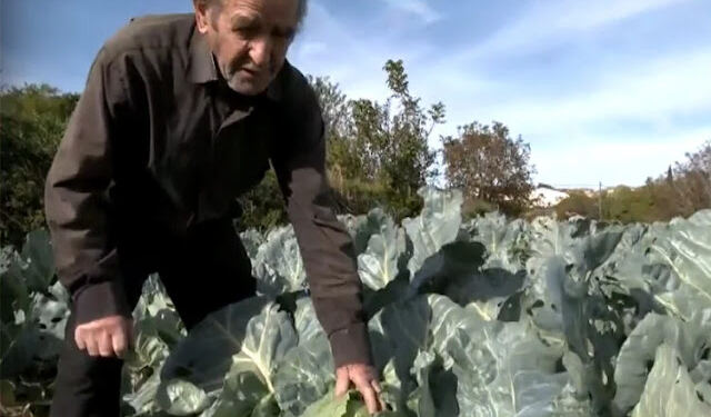 Ένας ακούραστος αγρότης 93 ετών, που δουλεύει τη γη από δέκα ετών (video)