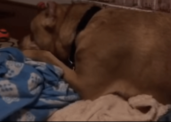 Τον εγκατέλειψαν δύο φορές. Δεν κατάλαβε γιατί κανείς δεν ήθελε να τον υιοθετήσει