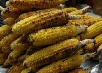 Μπαμπά θα μου πάρεις ένα καλαμπόκι; -Δεν έχω λεφτά κoριτσάκι μου…