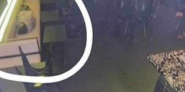 Το αφεντικό τον έπιασε να κοιμάται στη δουλειά – Η αντίδρασή όταν τον είδε από την κρυφή κάμερα θα σας σοκάρει!