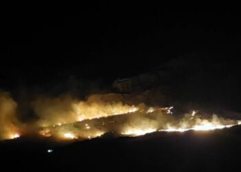 Μεγάλη φωτιά στον  – Προσπάθεια να ανακοπεί η επέκτασή της νότια