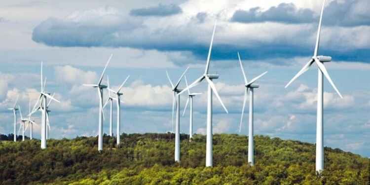 Εγκρίθηκε τελικά μία ακόμα αναδάσωση – Άνοιξε ο δρόμος για το αιολικό γίγας στην Εύβοια