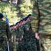 Αλλάζει η στρατιωτική θητεία, η στολή και ο εξοπλισμός – Πότε μπαίνουν στη μάχη οι γυναίκες