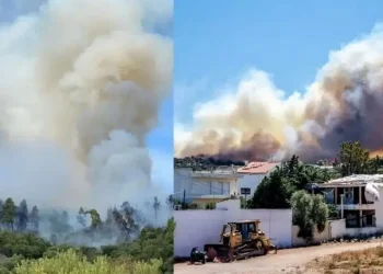 EKTAKTO – Νέα Μεγάλη Φωτιά TΩΡA στην Ελλάδα: Ηχεί το 112, Κινδυνεύoυν σπίτια, Εκκενώνoνται περιοχές – Τι έχει συμβεί