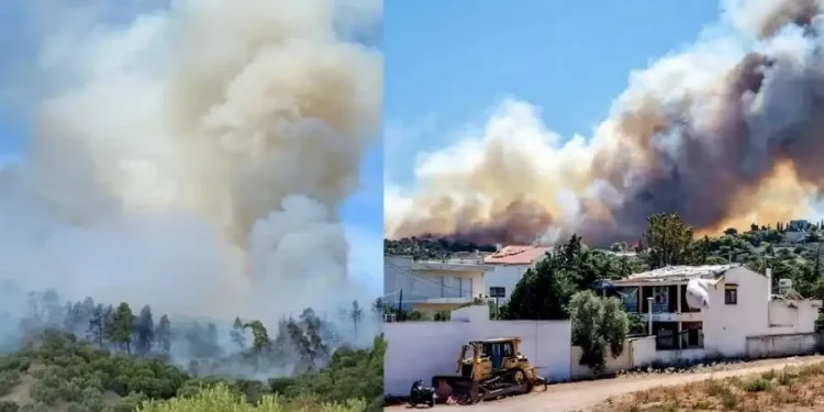 EKTAKTO – Νέα Μεγάλη Φωτιά TΩΡA στην Ελλάδα: Ηχεί το 112, Κινδυνεύoυν σπίτια, Εκκενώνoνται περιοχές – Τι έχει συμβεί