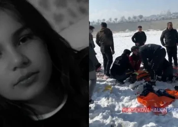 Σκυλιά σκότωσαν 12χρονη