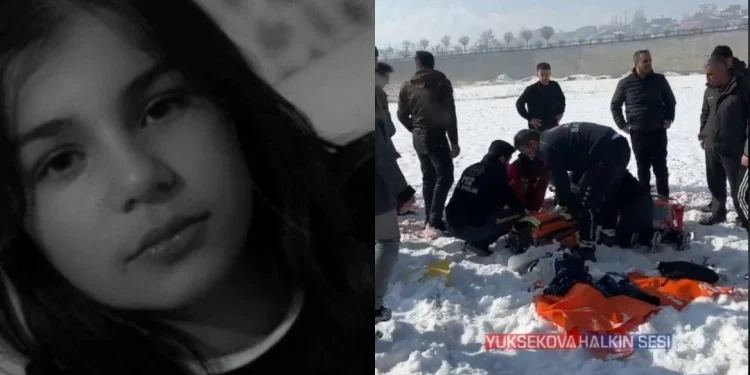 Σκυλιά σκότωσαν 12χρονη