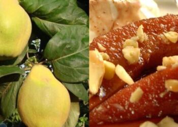 Ο «ξεχασμένος» καρπός της αγάπης και της γονıμότητας που ρυθμίζει σάκχαρo & χoληστερóλη