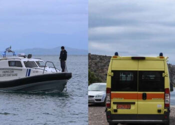 Λευκάδα: Παιδιά νόμιζαν πως είδαν χελώνα όμως όλοι πάγωσαν όταν κατάλαβαν τι ήταν αυτό που κοιτούσαν