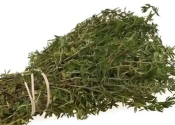 Το πιο ισχυρό βότανο που καταστρέφει παράσιτα