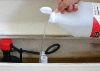 Ρίξτε ξύδι στο καζανάκι της τουαλέτας και θα εκπλαγείτε – Δεν μας τα λέει κανείς αυτά