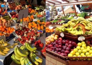 Έχει αντικαρκινική δράση, μειώνει πίεση, βελτιώνει μνήμη: Ο Βασιλιάς των φρούτων που δεν τρώει σχεδόν κανείς