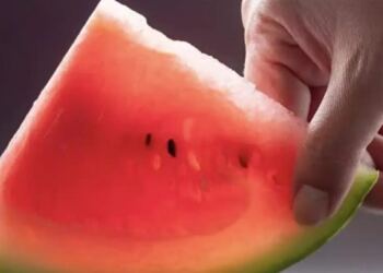 Γιατρός: Δείτε τι συμβαίνει στο σώμα σας αν τρώτε καρπούζι κάθε μέρα το καλοκαίρι